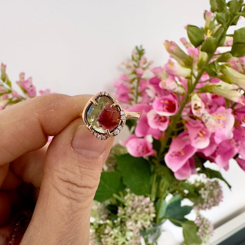 Aphenos Ring Watermelon Tourmaline Ring
