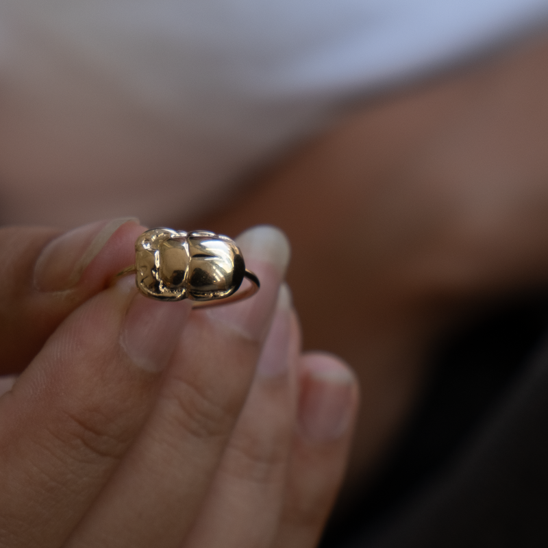 Sarab Rang 14k gold Scarab Ring – Vivien Frank Designs